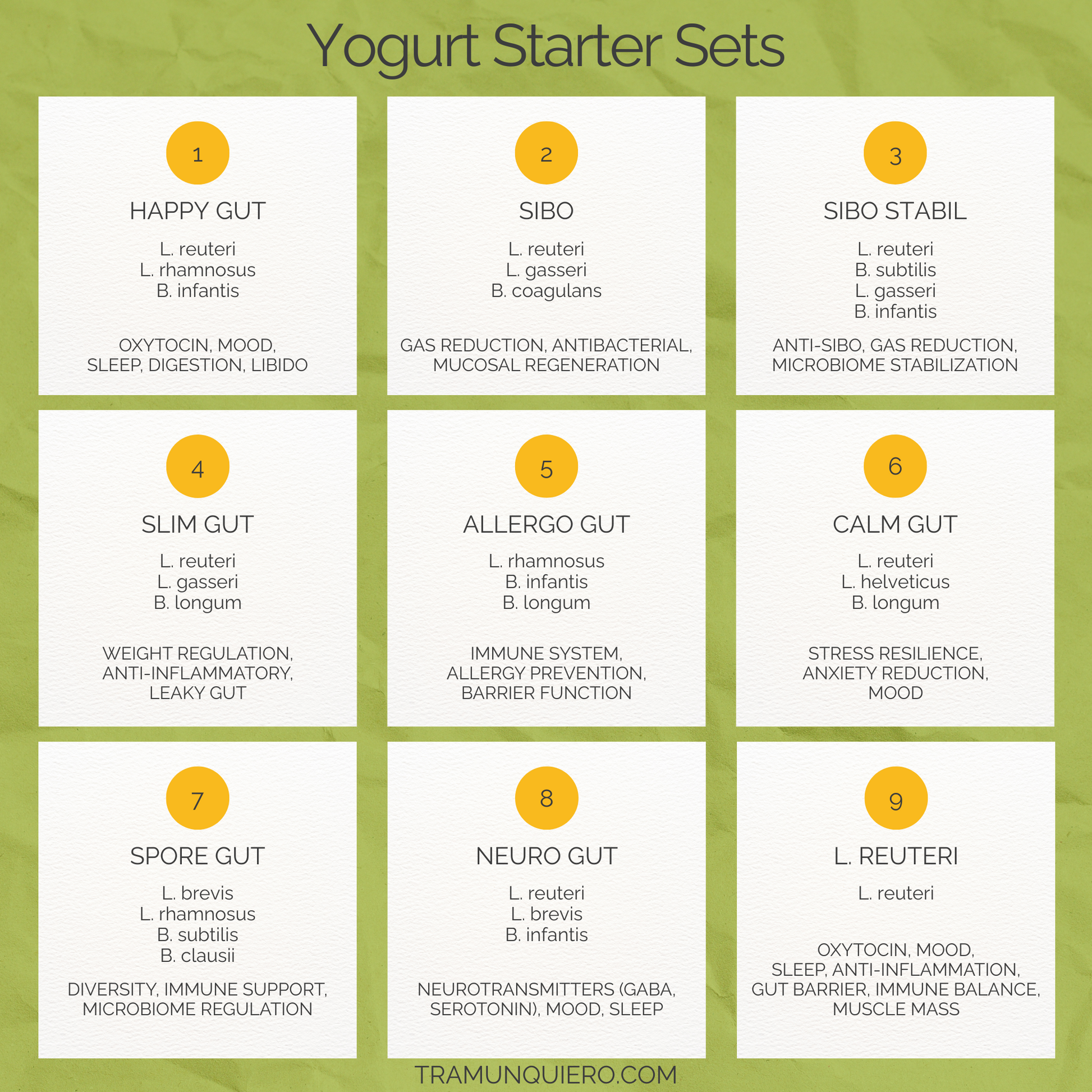 Starter Set "Calm Gut" | L. reuteri, L. helveticus, B. longum Yogurt