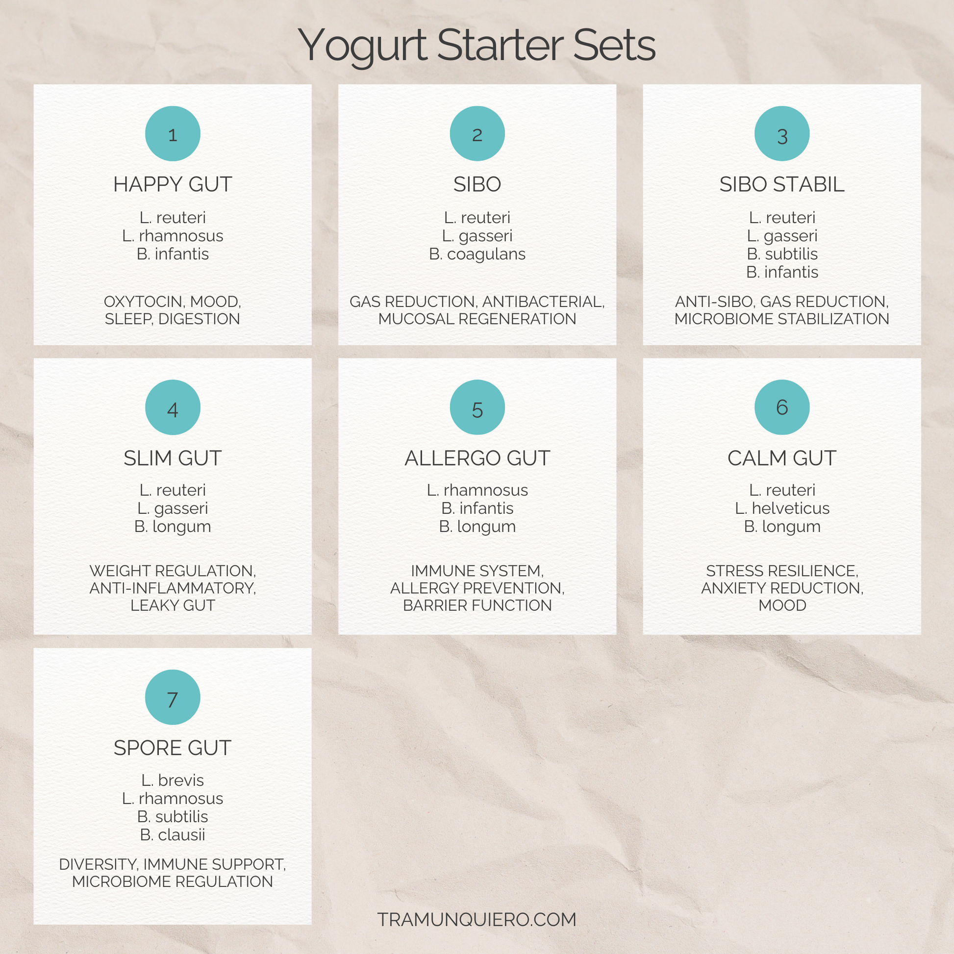 Set de inicio L. reuteri, L. gasseri, yogur B. coagulans | yogur SIBO 